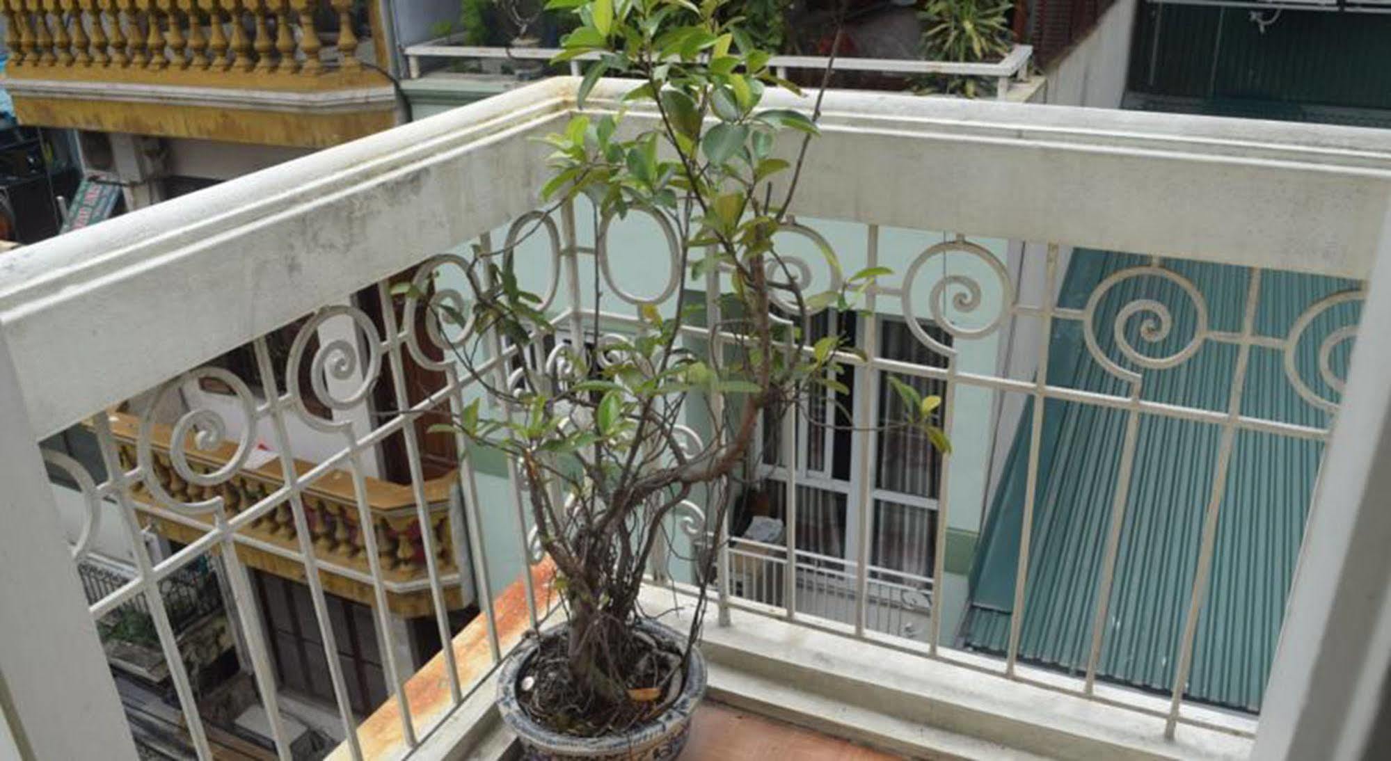 Hanoi Massive Hostel Hanói Exterior foto